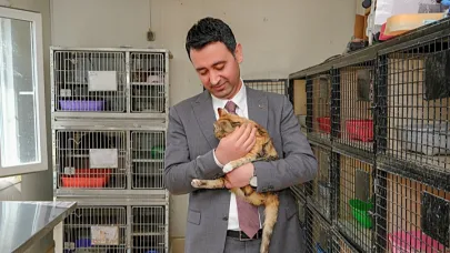 Bayraklı’da 8 Bin 379 Sokak Hayvanı Tedavi Edildi