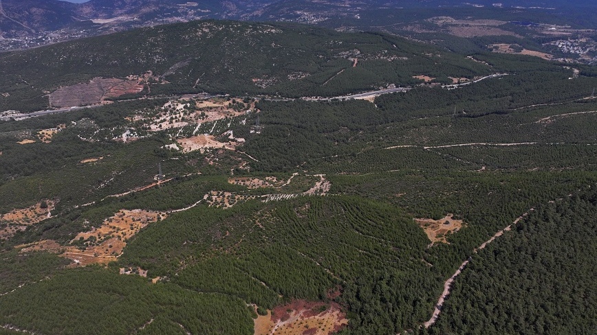 16 Yıllık Emek Ormanı Yeşertti