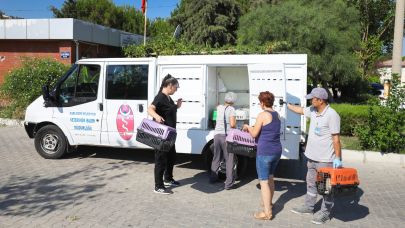 Narlıdere’de Sokak Kedileri İçin Kısırlaştırma Seferberliği