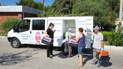 Narlıdere’de Sokak Kedileri İçin Kısırlaştırma Seferberliği