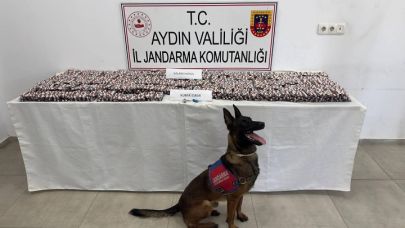 Aydın’da 13 Bin 740 Uyuşturucu Hapla Yakalanan 3 Kişi Tutuklandı