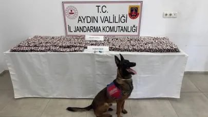 Aydın’da 13 Bin 740 Uyuşturucu Hapla Yakalanan 3 Kişi Tutuklandı