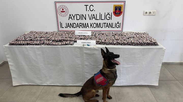 Aydın’da 13 Bin 740 Uyuşturucu Hapla Yakalanan 3 Kişi Tutuklandı
