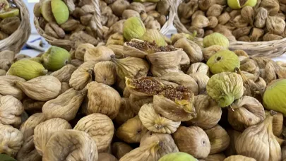 Aydın’da İlk Kuru İncire Sembolik 800 Lira