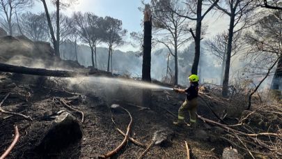 Bergama’da Orman Yangını: Evlere Sıçradı