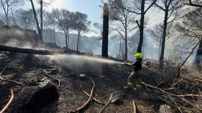 Bergama’da Orman Yangını: Evlere Sıçradı
