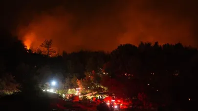 İzmir’de Orman Yangını Şüphelisi Tutuklandı