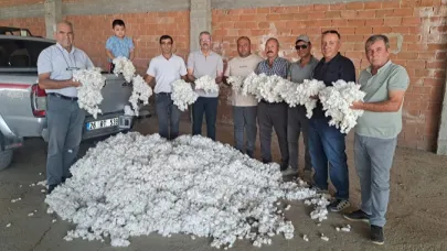 Söke’de Sezonun İlk Pamuğu 300 Liradan Satıldı