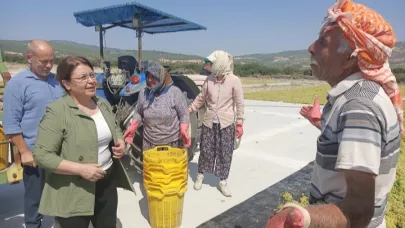 Buldan Üzüm Üreticisi Perişan