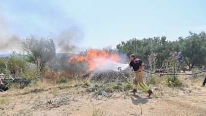 Manisa’da 80 orman yangınından 61’i büyümeden söndürüldü