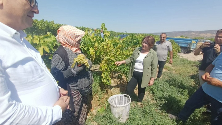 Üzüm Üreticilerinden Tarım Bakanlığı’na Tepk