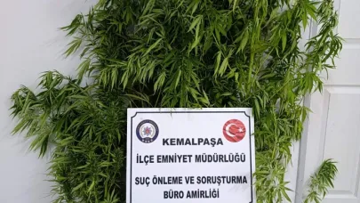 Kemalpaşa’da bahçesinde kenevirle yakalandı