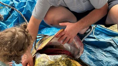 Demirköprü’de 114 Kilo Dev Yayın Balığı