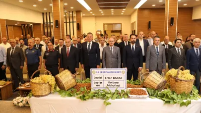 Manisa’da sezonun ilk kuru üzümü 3 bin 500 liradan alındı