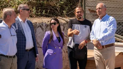 Gaziemir Belediyesi’nden Sokak Hayvanlarına Yeni Yuva