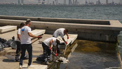 İzmir Körfezi'nde Kabus Geri Döndü
