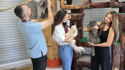 Konak’taki Patili Dostlar Yeni Yuvalarını Bekliyor