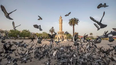 İzmir’de İklim Meclisi Kuruldu