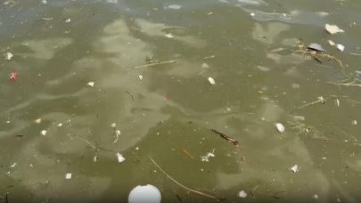 İzmir Körfezi’nde Kirlilik Kısır Döngüye Girdi