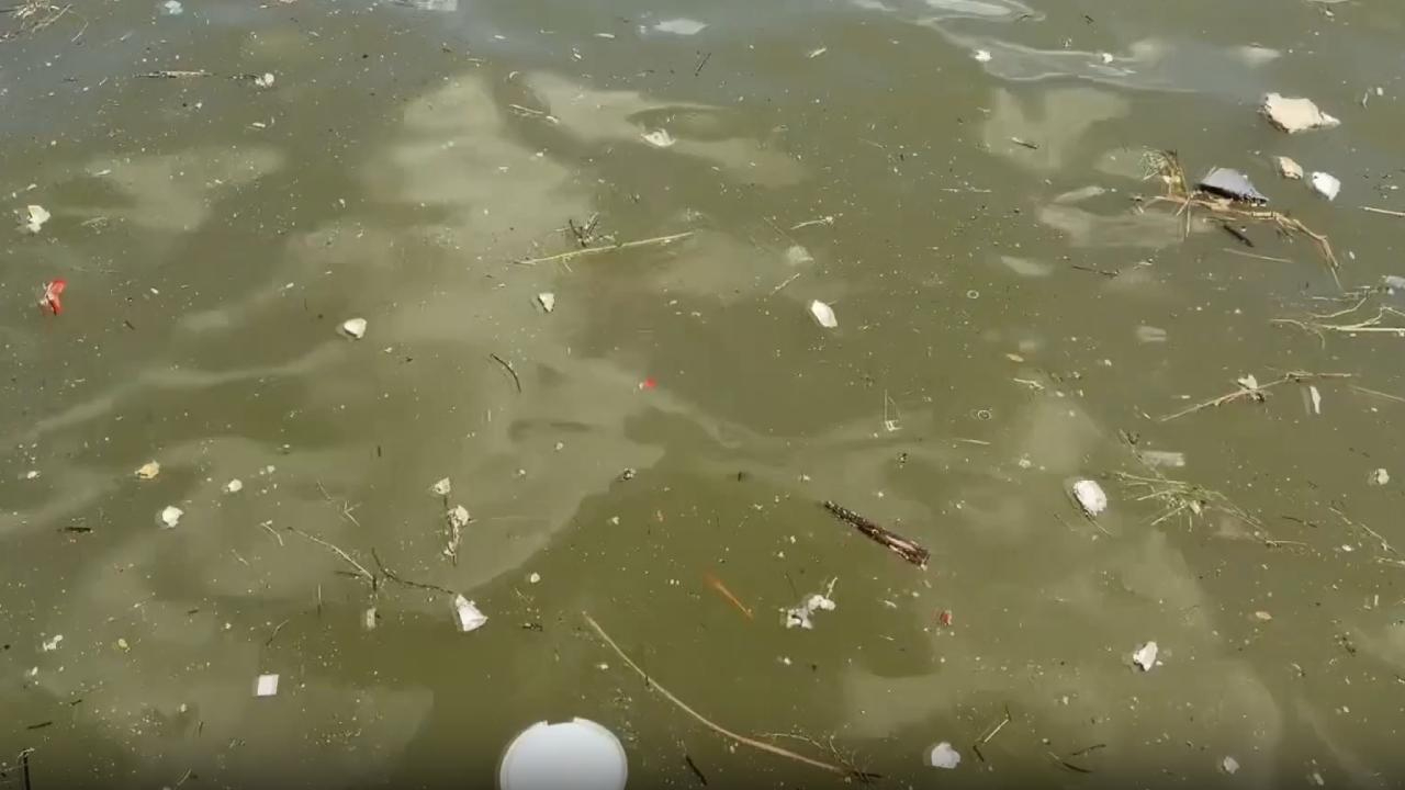 İzmir Körfezi’nde Kirlilik Kısır Döngüye Girdi