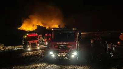 İzmir itfaiyesi Denizli’de yangınla mücadelede
