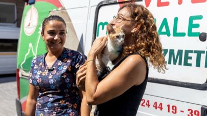 Şanslı kedi yeni yuvasında