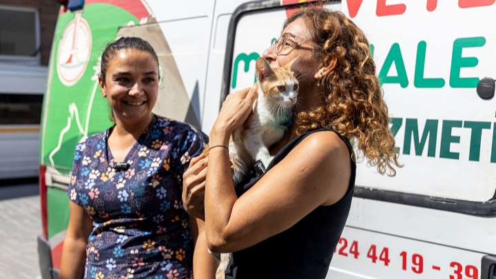 Şanslı kedi yeni yuvasında