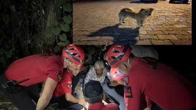 Aydın’da kaybolan yaşlı kadın, köpeği sayesinde bulundu