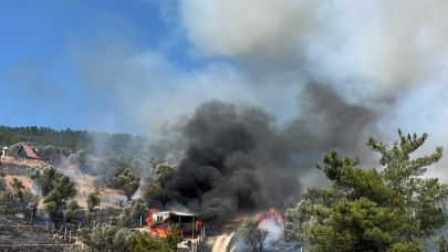 İzmir’de tarım yangını ormana sıçradı, kontrol altına alındı