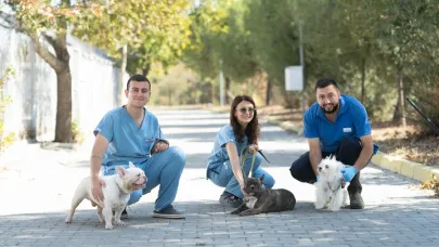 İzmir’de El Konulan 20 Köpek Işıkkent’te Tedavi Altında