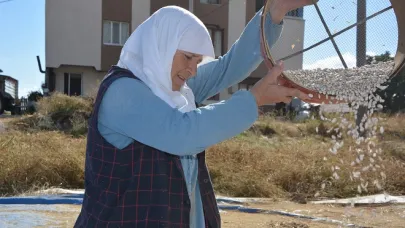 Demirci Kuru Fasulyesine Talep Artıyor