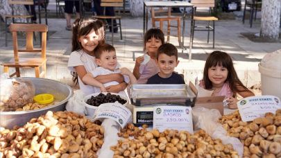 Tire’de İncir ve Ceviz Festivali Coşkusu