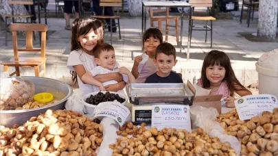 Tire’de İncir ve Ceviz Festivali Coşkusu