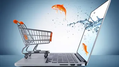 E-Ticaret Web Sitesi Yapma