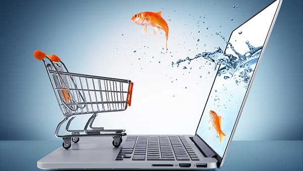 E-Ticaret Web Sitesi Yapma