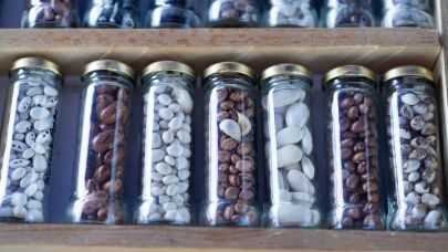 Minik Eller Toprakla Buluştu