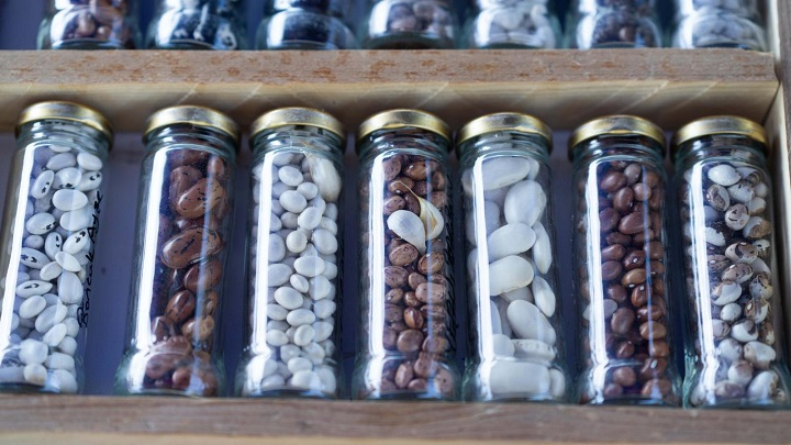 Minik Eller Toprakla Buluştu