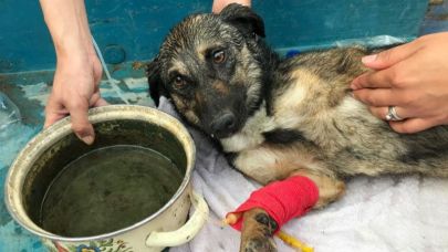 HAYDİ FUTBOL FEDERASYONU...  HAYDİ, BU ÜLKENİN...