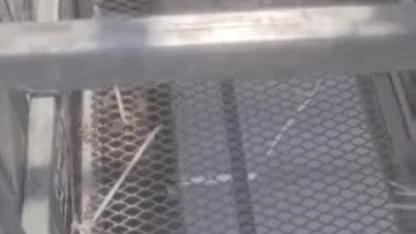 Balçova’da alt geçitte kedi kurtarma operasyonug