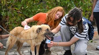Bornova’da gençlerden can dostlara anlamlı destek