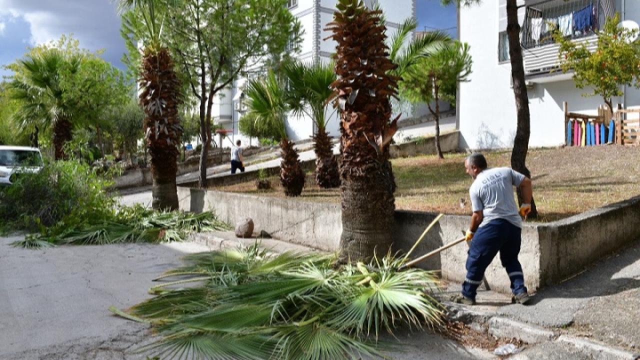 Çiğli’de sonbahar bakımı: Ağaçlar budanıyor