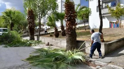 Çiğli’de sonbahar bakımı: Ağaçlar budanıyor