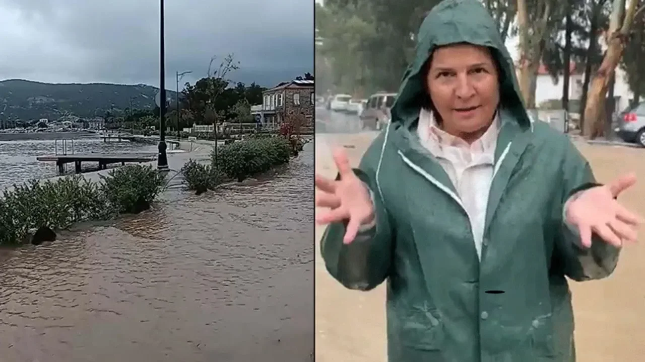 FOÇA BELEDİYE BAŞKANI VE AĞUSTOS BÖCEĞİ