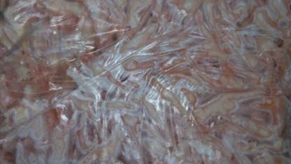 Kanatlı sektörü Çin pazarının açılmasını bekliyor