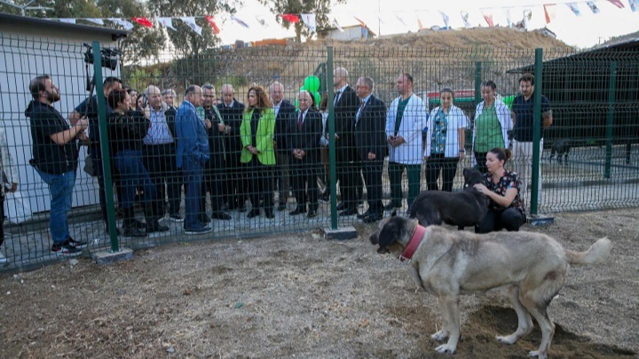 Karşıyaka’da can dostlara yeni yuva
