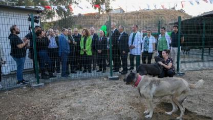 Karşıyaka’da can dostlara yeni yuva