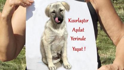 “Katliam Yasası” Tartışması: Çeşme’den Vicdanlı Çözüm Çağrısı