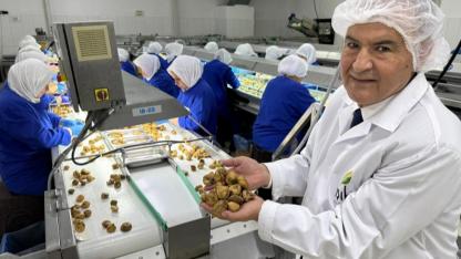 Kuru İncirde 369 Milyon Dolarlık Tarihi Rekor