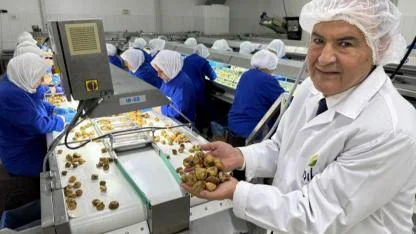 Kuru İncirde 369 Milyon Dolarlık Tarihi Rekor