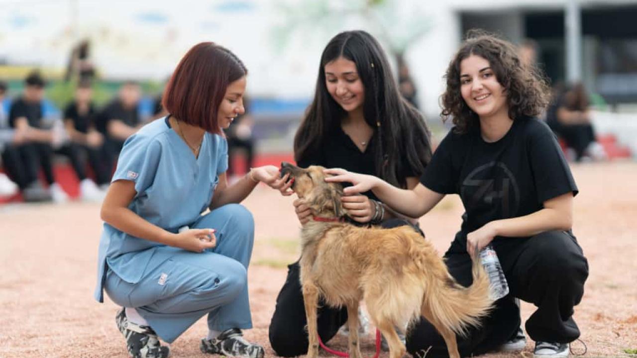“Sahipsiz hayvanlara kötü muamele son bulsun”